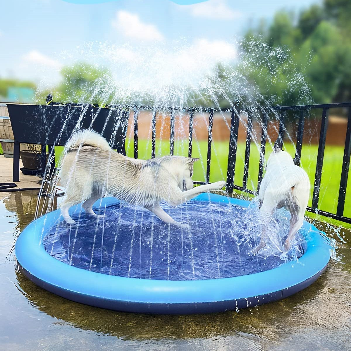 Watersplash™ für Hunde und Familie