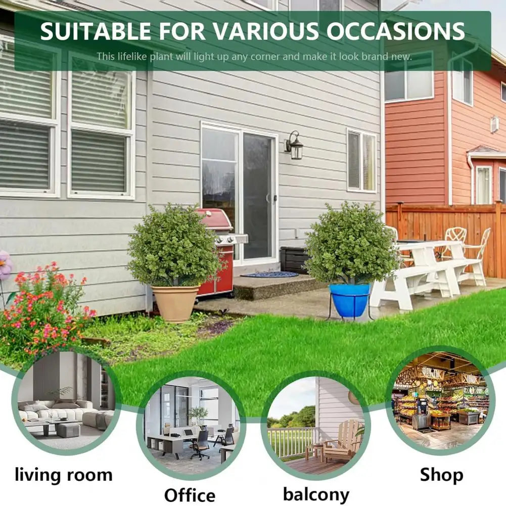 VerdeLiora™ | Immergrüne Schönheit ohne Pflege